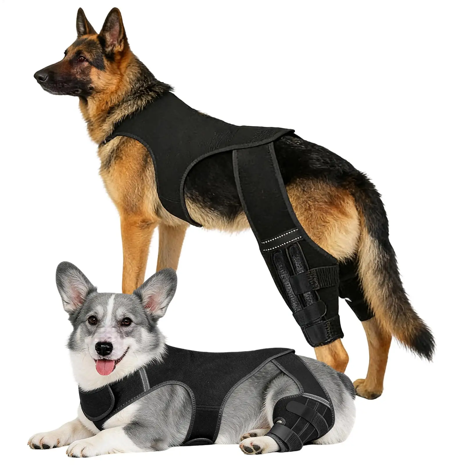 Thumbnail 2 - #18 Trending Pet Agility Equipment Right Now