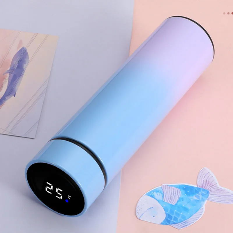 

500ML Thermic Bottle With Sensor Led Display For Temperature/500ml Thermal Water Bottles