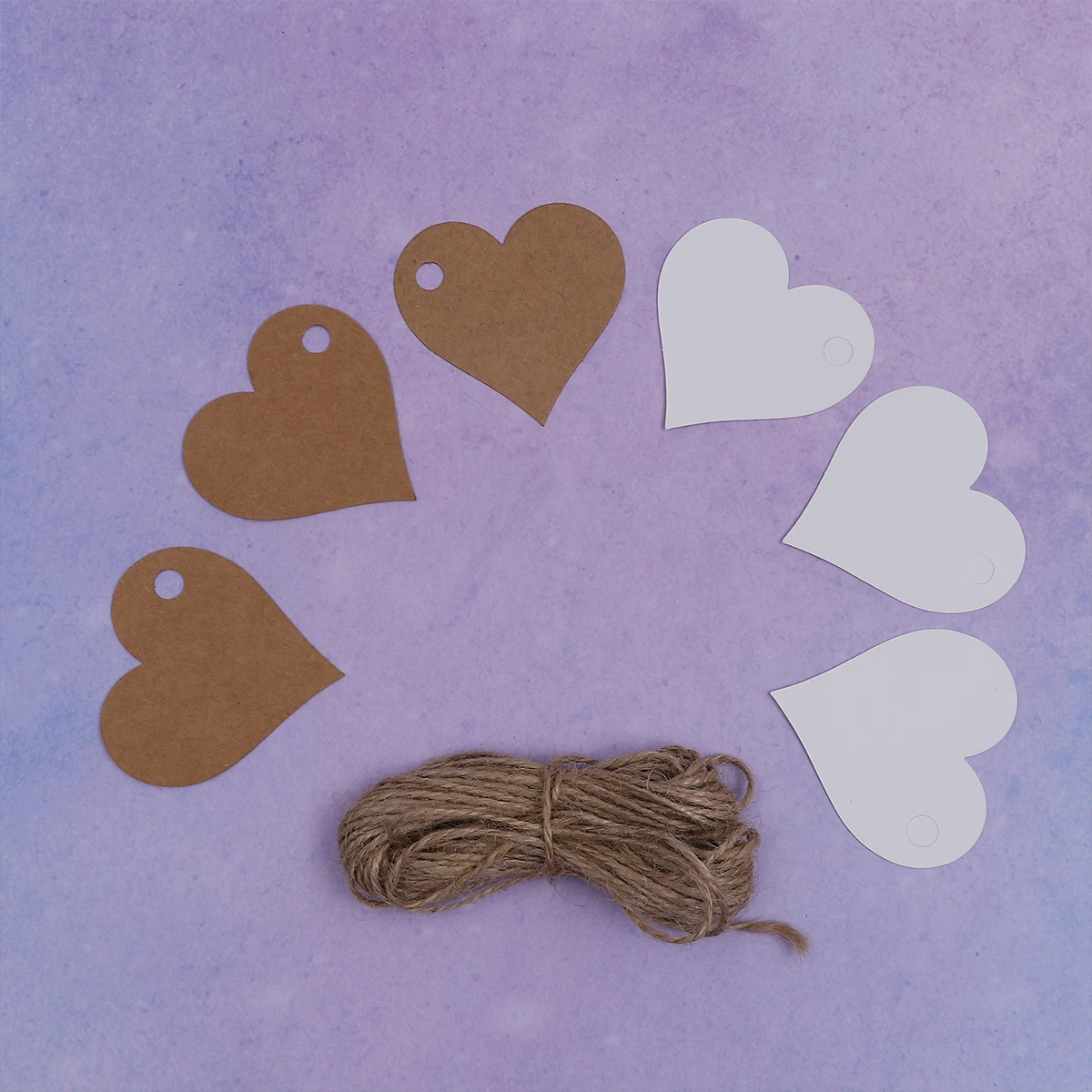 

100pcs Kraft Paper Gift Tags Blank Wishing Cards Bookmark Labels Durable Twine Holes Christmas Student Words Projects