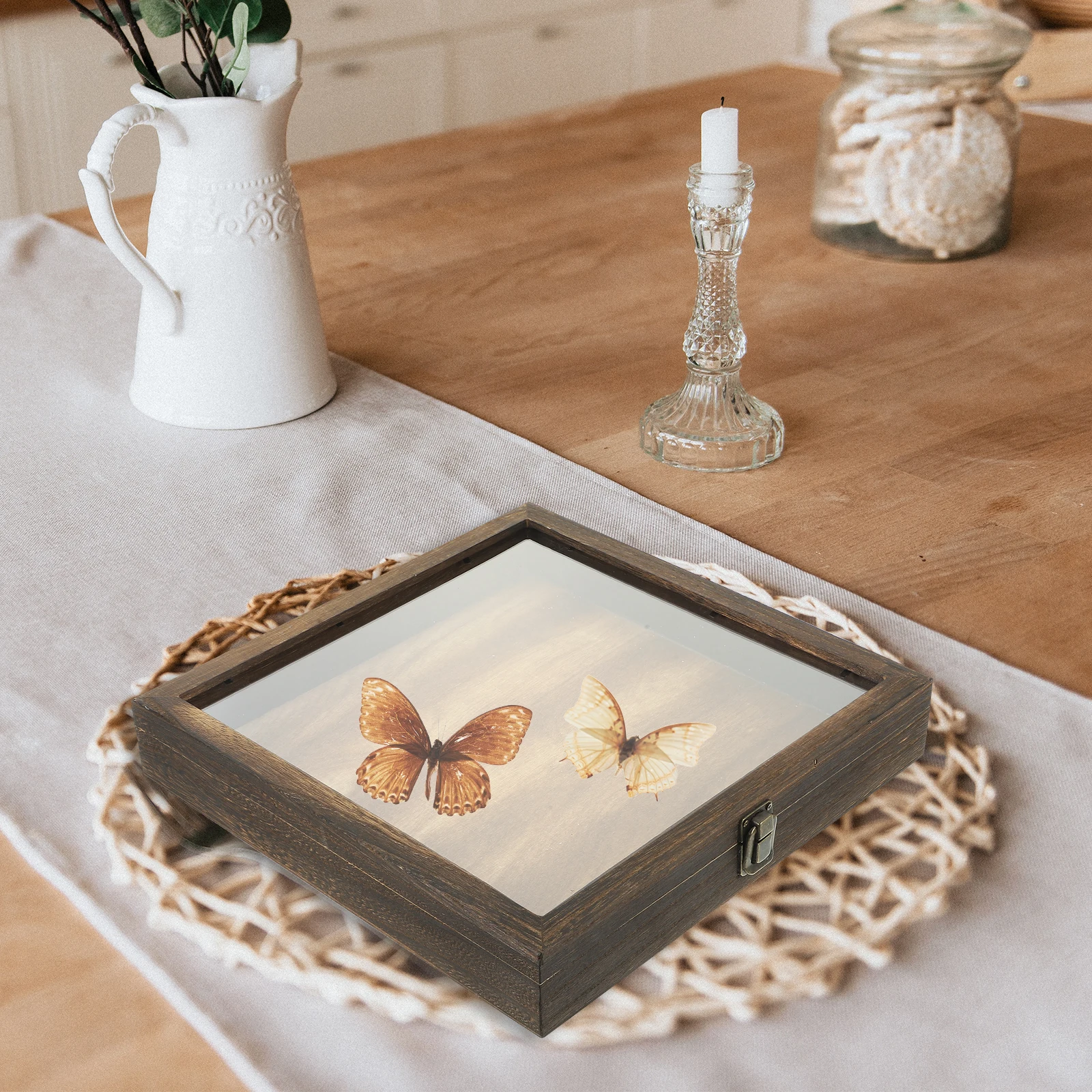 

Display Case Butterfly Specimen Box Insect Combination Butterflies Boxes Storage Vintage
