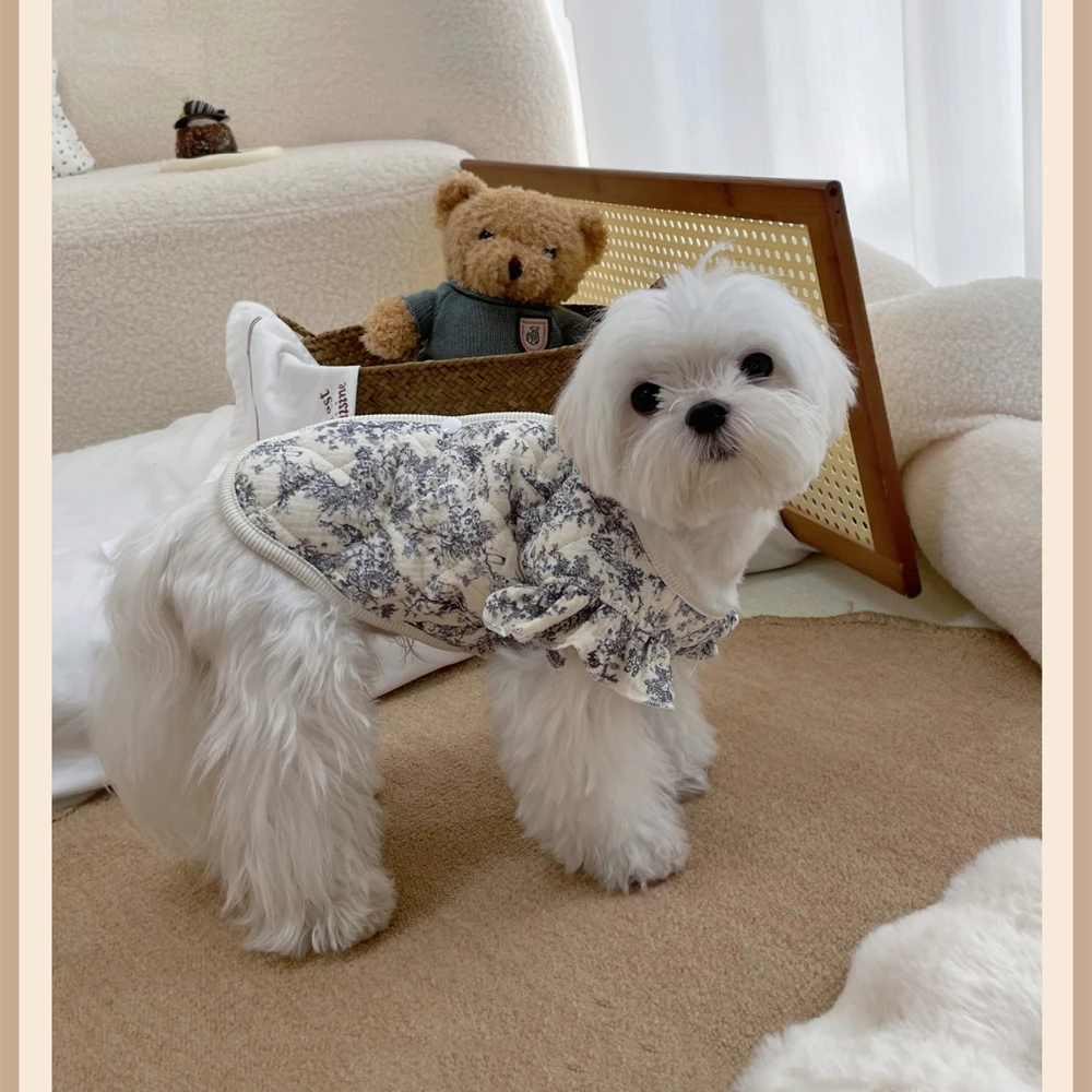 yZ[zybgLȃR[gȃK[[xXg^Lz[ngh\tgŉK