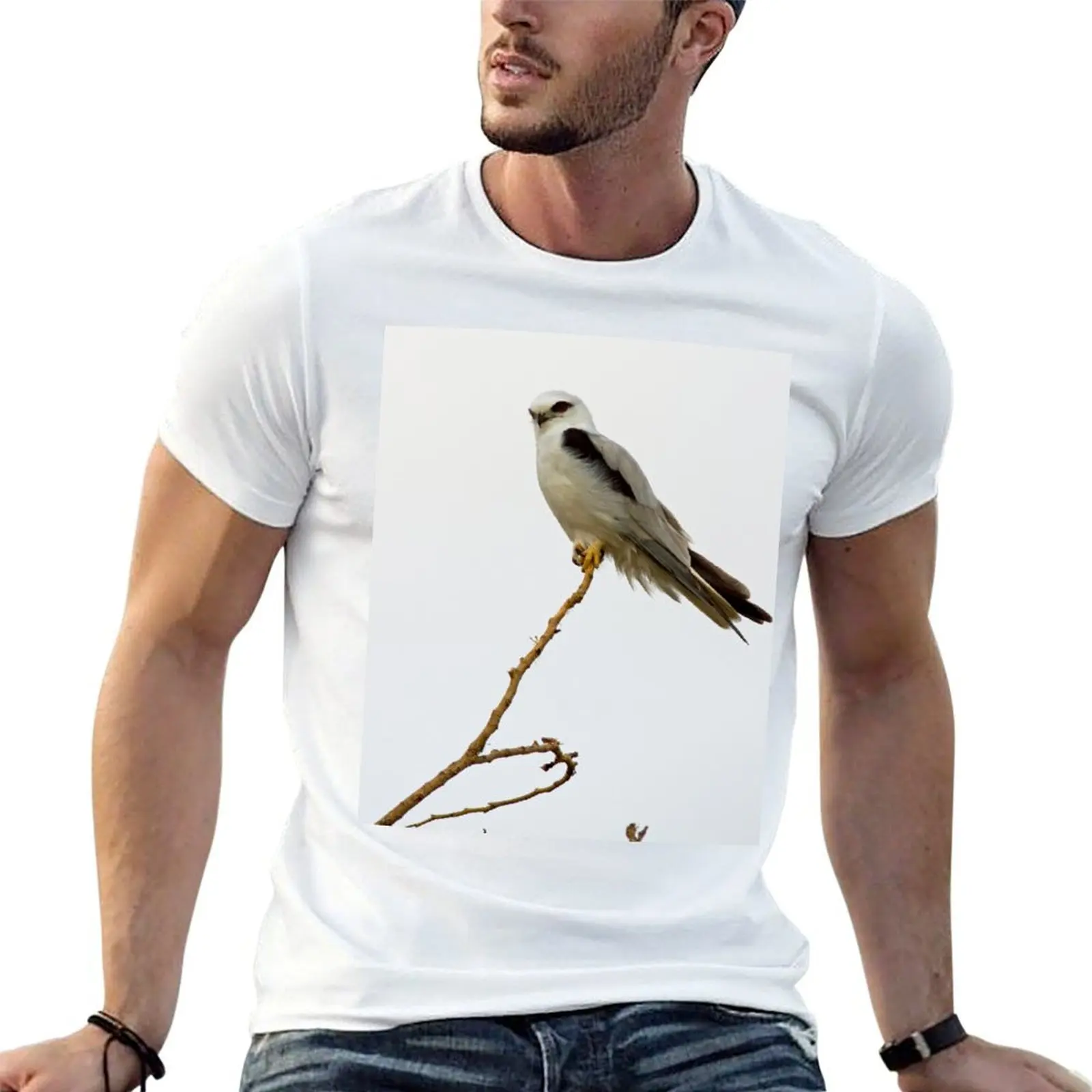 Black Shouldered Kite 2 T-Shirt anime shirt plus size clothes t shirt men 100℅ cotton