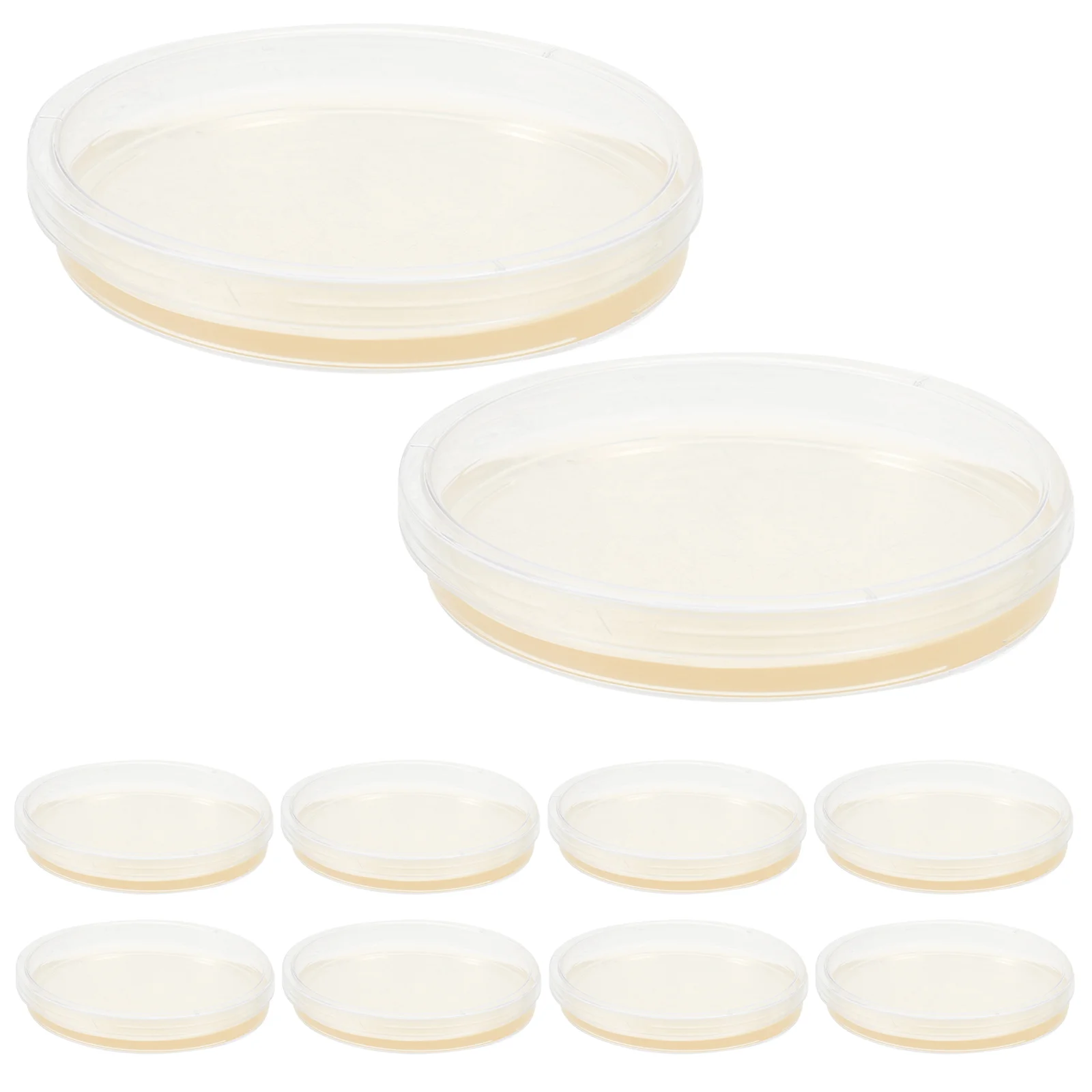 10 Pcs Jelly Charcoal Nutrient Agar Plate Child Tank Toy Plants for Petri Dishes with Prepoured