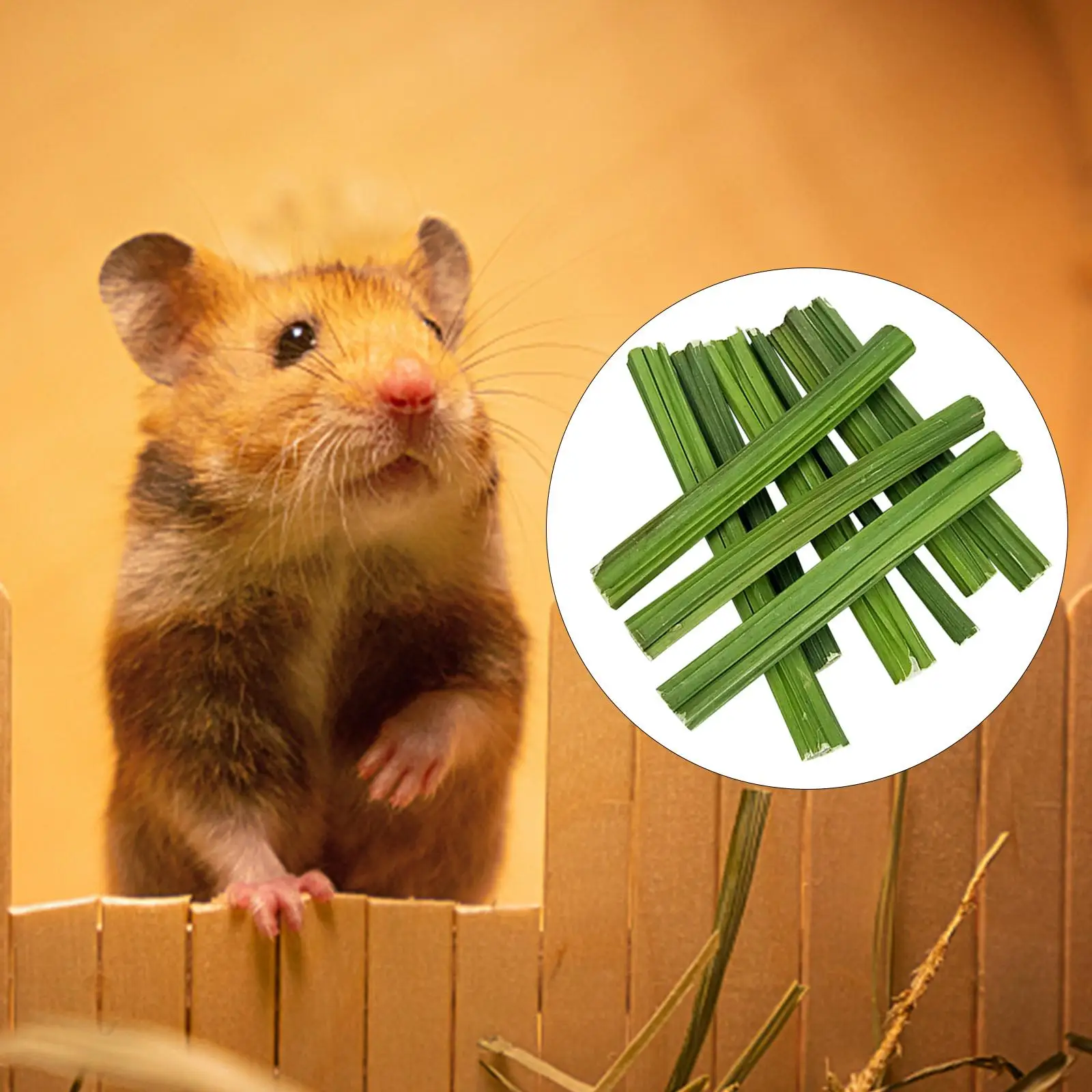 Papaya Stem Molar Chew Toy Chew Stick for for Gerbils Rats s
