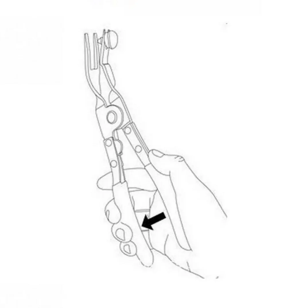 thumb