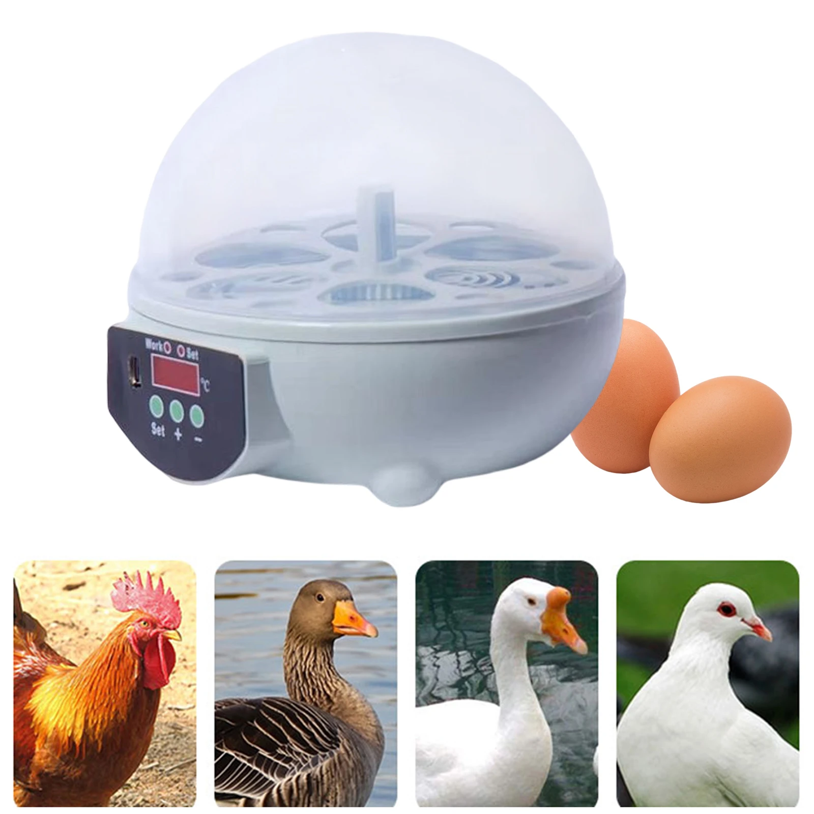 Mini 6 Eggs Incubator Hatcher Digital Poultry Temperature Control Egg Candler for Birds Goose Chicken Duck Quail Supplies