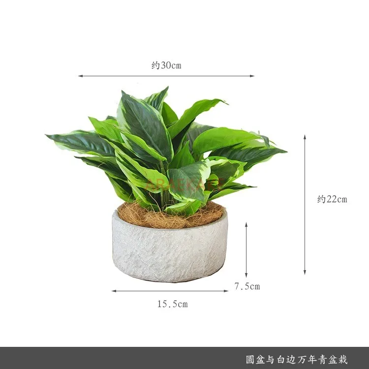

Цветочная композиция бонсай, композиция в горшках, имитация горшка для растений, организация стола с зелеными растениями,
