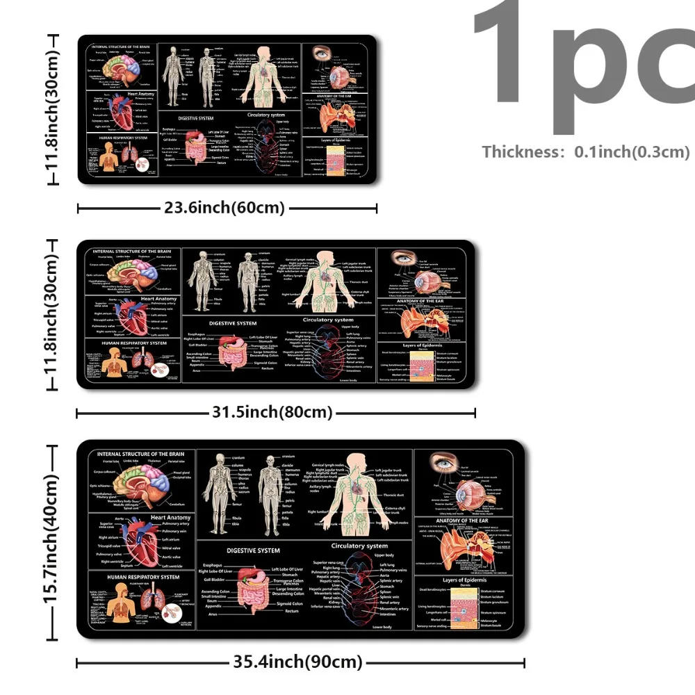 CIFBUY Mouse Pad Non-Slip Rubber Base Washable Large Desk Mat For Office Gaming Human Anatomy Cheat Sheet Pattern HD Print Durab
