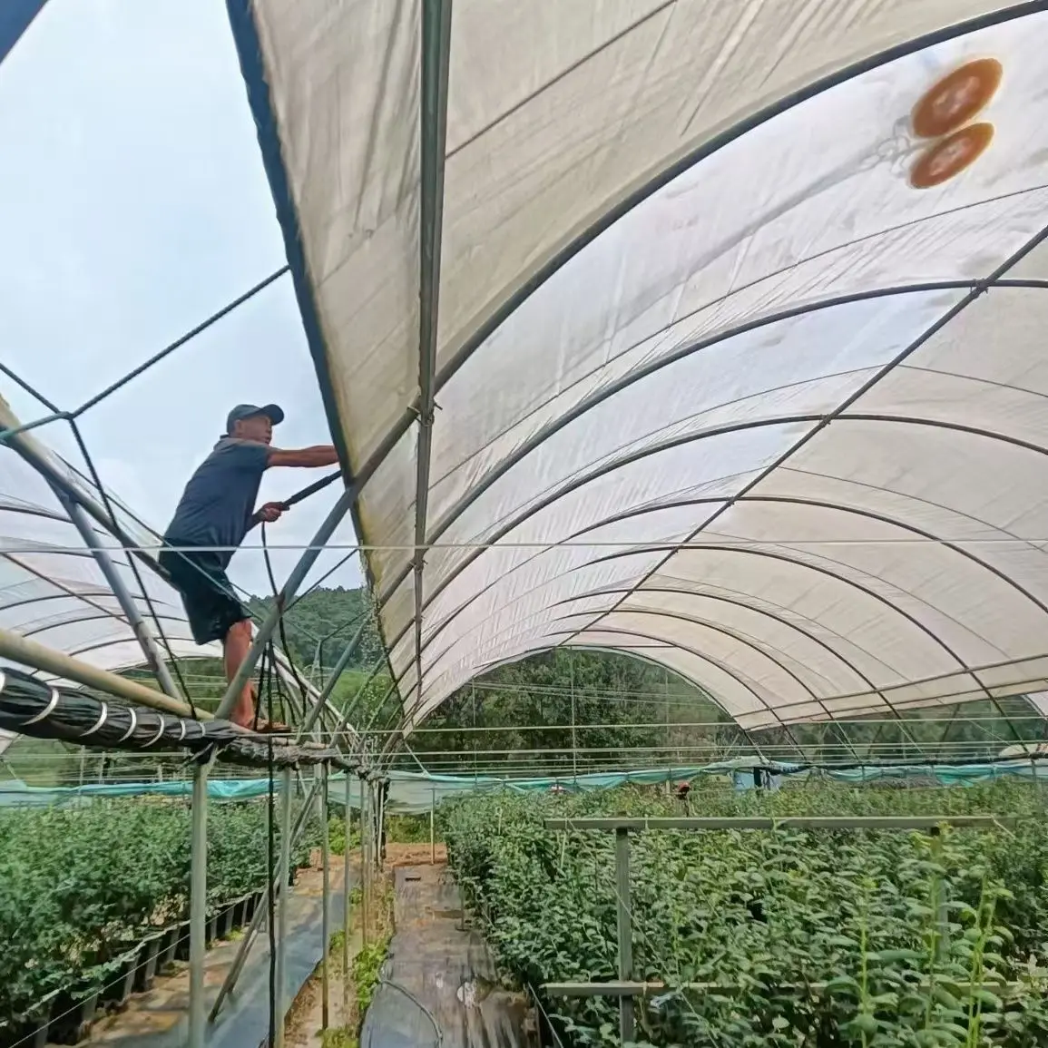 أدوات تنظيف الدفيئة فرشاة كهربائية زجاجية لغرفة الشمس لوحة كهروضوئية شتلات زهرة فيلم بلاستيكي تنظيف الطحلب #3