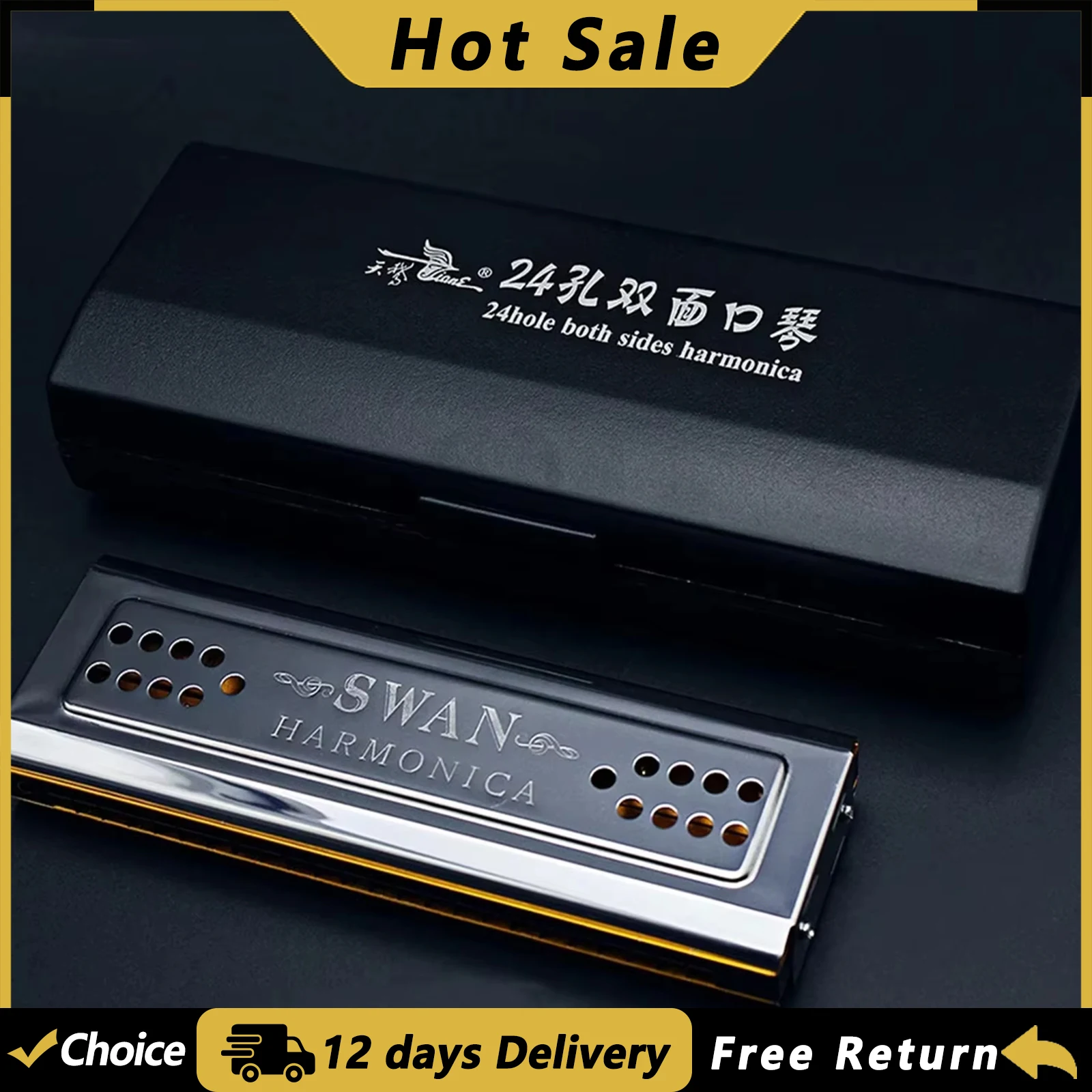 Harmonica SWAN à 24 trous, clé de Do, harmonica tremolo, harmonica double face argenté, pour la pratique, instrument à vent professionnel