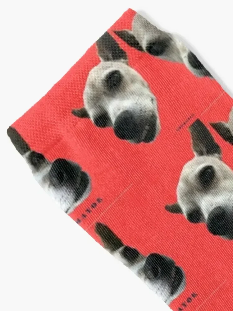 winter cotton cool Heating sock Ladies Socks custom sports cotton basketball winter Male Socks Women's