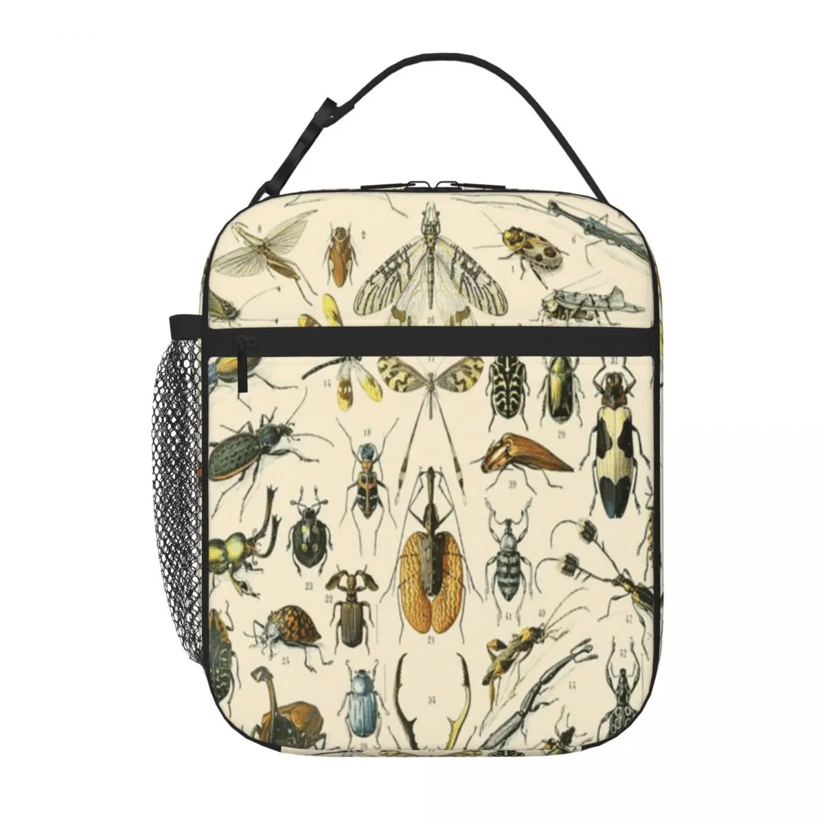 Bestselling Insects Vintage Bug Chart Soft Touch Neoprene Lunch Bag Nursery Food Travel Lunch Bag