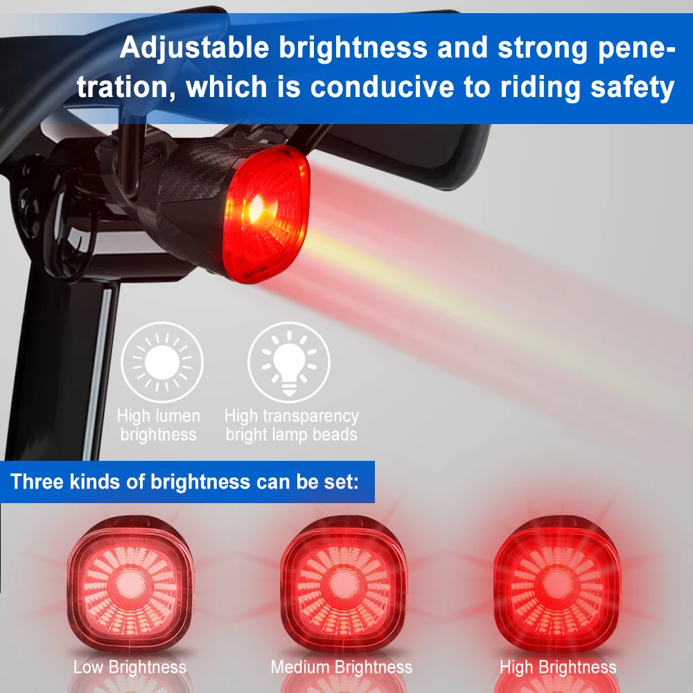 Camluxy Smart Bicycle Rear Light LED IPX6 Waterproof Bike Taillight Safety USB Rechargeable Brake Sensing Auto Stop Cycling Lamp