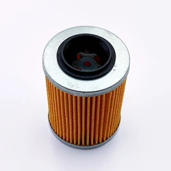 Öl Filter für Stels ATV 650 800 850 Guepard 1520A-E05-000 101701-001-0001 LU049856 LU071980 Russische mechanik RM800 0120440