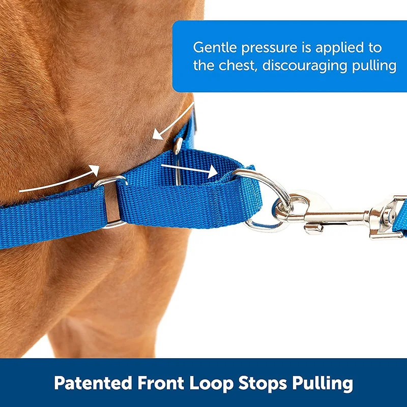 Heavy Duty Nylon Martingale Dog Collar - Adjustable Training Collar for Small Medium Large Breeds, Secure Safety Design