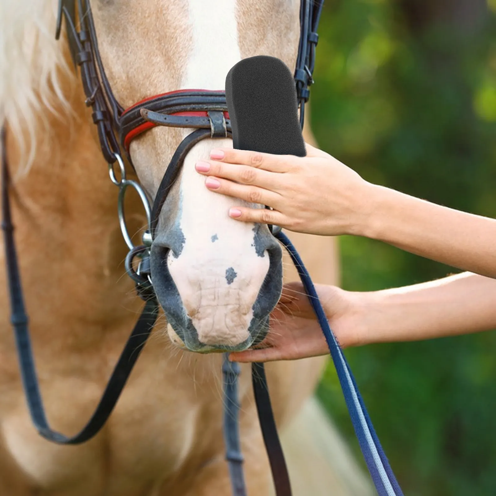 5Pcs Horse Body Cleaning Sponges Premium Soft Large Sponges for Horse Bath Tools Grooming Washing Sweat Removal Farm Animals