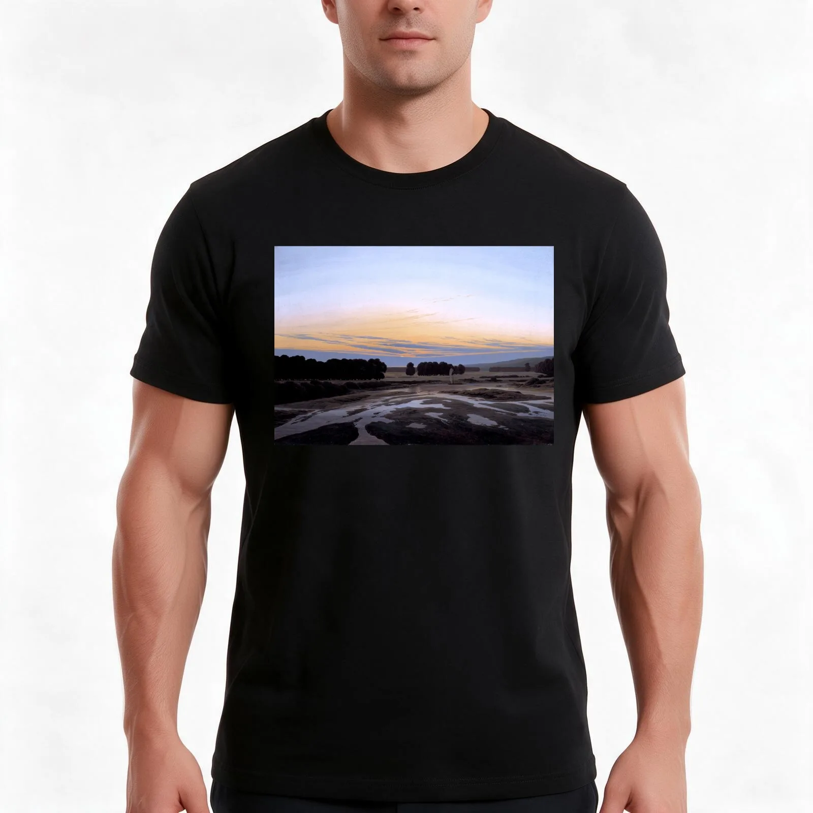 Caspar David Friedrich - The Grosse Gehege near Dresden T-Shirt Summer Casual Cotton Tee Oversized Streetwear Tops