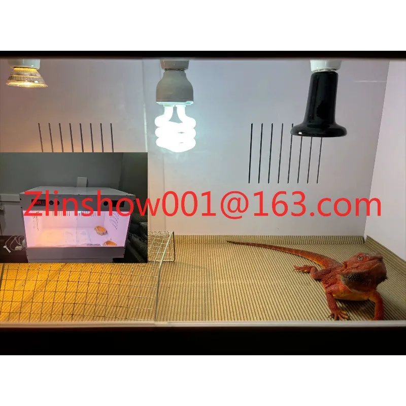 Climbing pet incubator pvc feeding box, turtle incubator, rutin chicken mane, lion, hedgehog palace pet snake