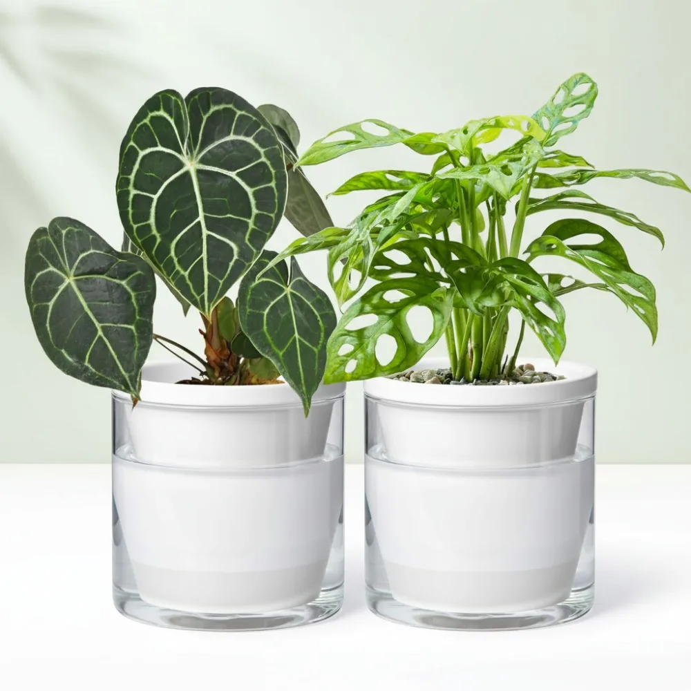 

Набор горшков для растений для самостоятельного полива, 2 шт., белый терракотовый со стеклянной чашкой, кашпо для трав в помещении для домашнего декора