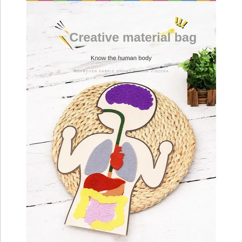 Biology Teacher Accessories DIY Organ Teaching Aids Scholar Kit Home School Biological Science Educational Toys for Children