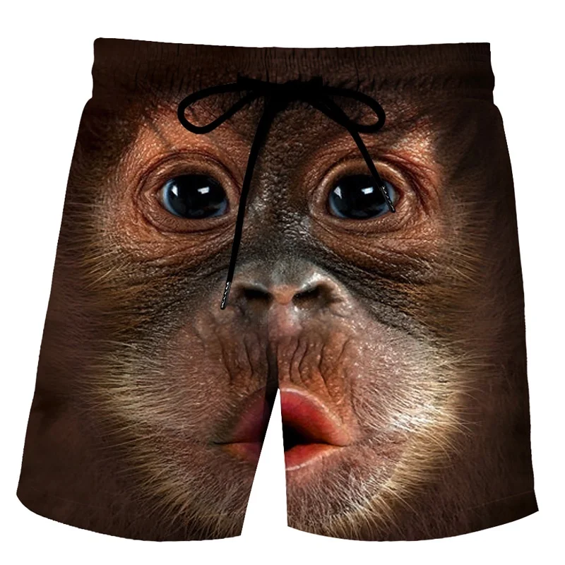 Funny Animals Board Shorts Duck Pig Monkey 3d Printed Streetwear Boy\'s Casual Beach Shorts Sportswear Kids Short Pants Trousers