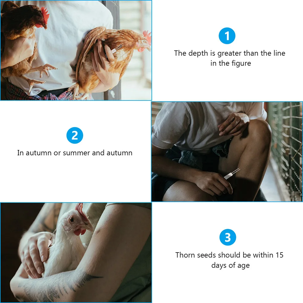 

9pcs Fowl Pox Inoculation Chicken Immunization Tools Durable Stainless Steel Practical Poultry Needles Home Use For