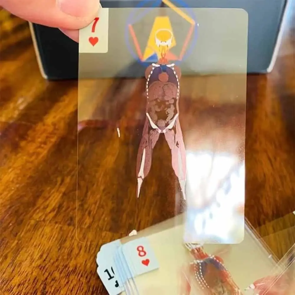 Mannequin Body Deck Human Anatomy Games Cards Full Skeleton X-Ray Designs Hislaves The Body Deck Skeleton Games Cards Kit