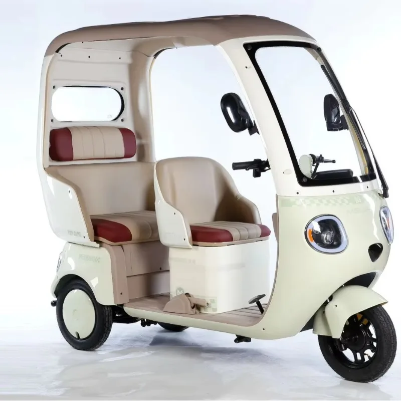 3-Person 60v Electric Tricycle 3-Wheel Bicycle with Open Body EEC Certified Cargo Passenger Vehicle xyl