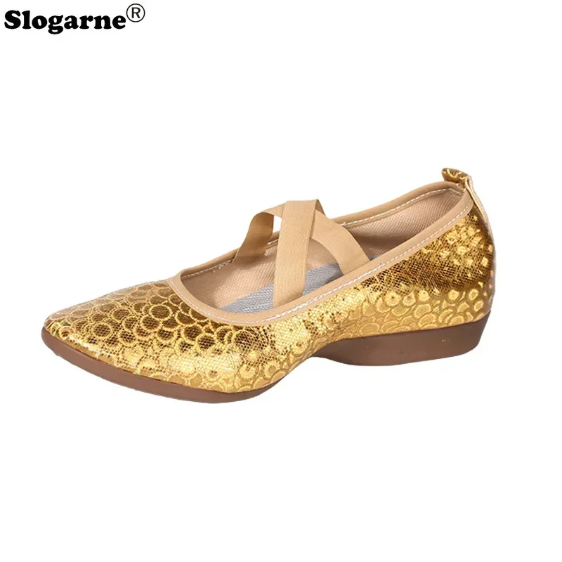 Nowe Złote Srebrne Buty do Tańca Towarzyskiego Damskie Miękka Podeszwa Treningowe Profesjonalne Buty do Tańca Latynoamerykańskiego Jazzu dla Nauczycieli Obcas 2cm Trampki