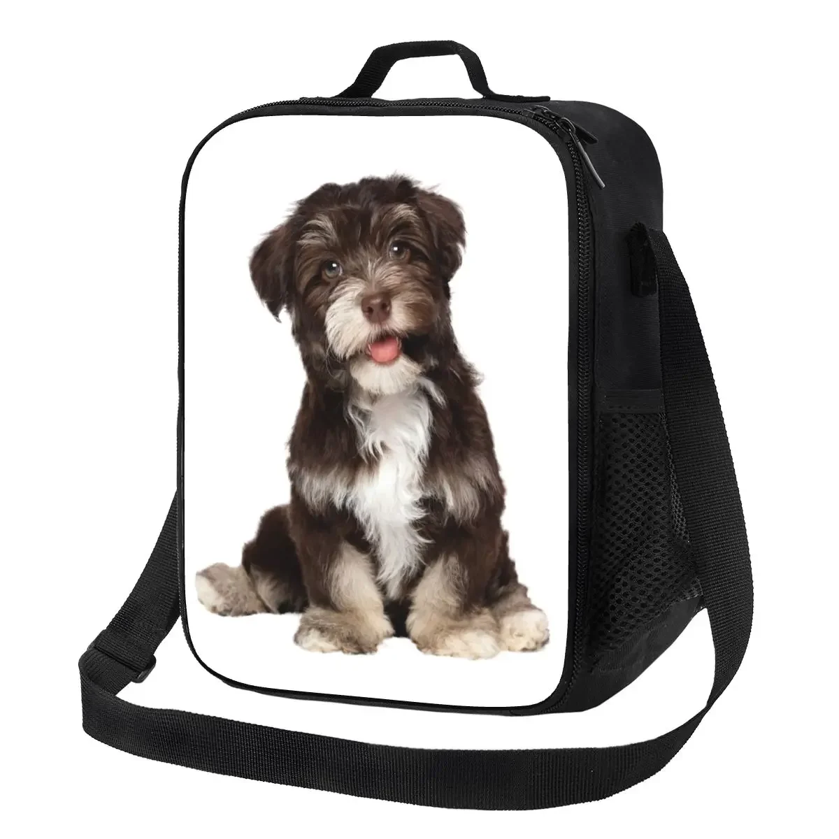 

Chocolate Havanese Bichon Insulated Lunch Bags for Outdoor Picnic Waterproof Thermal Cooler Bento Box Women Children