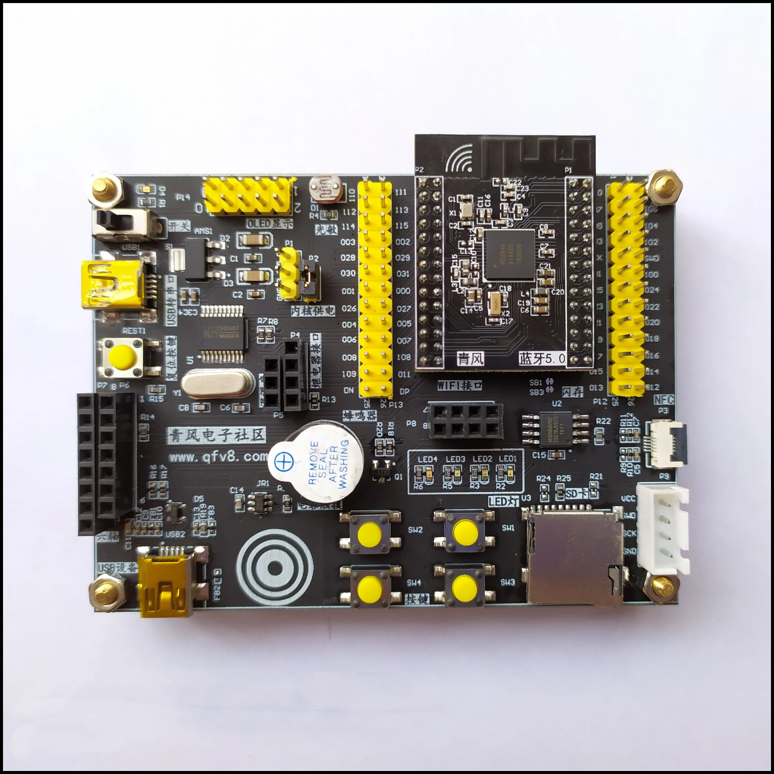 carte-de-developpement-wiltshire-pig-bluetooth-mesh-networking-ant-ndavid-nrf52840-nrf52