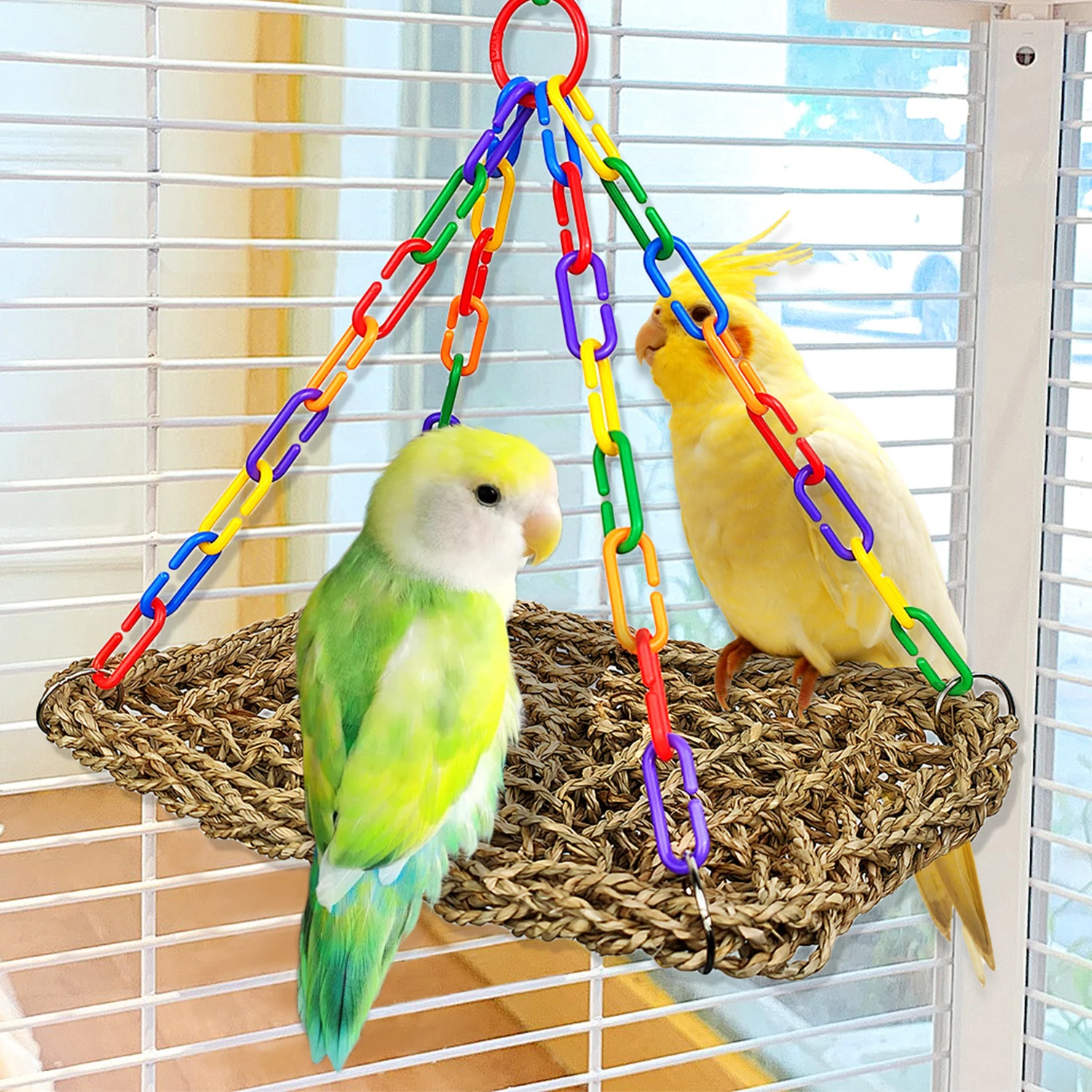 Thumbnail 2 - #10 Bird Cage Ladders Comparison Guide