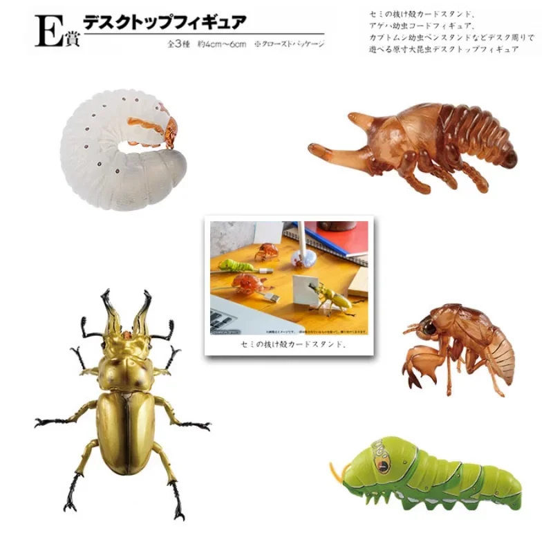 

Original Banpresto Gashapon Anime Figure Cute Kawaii Insect Cicada Larva Model Gacha Miniature Item Toys Gift