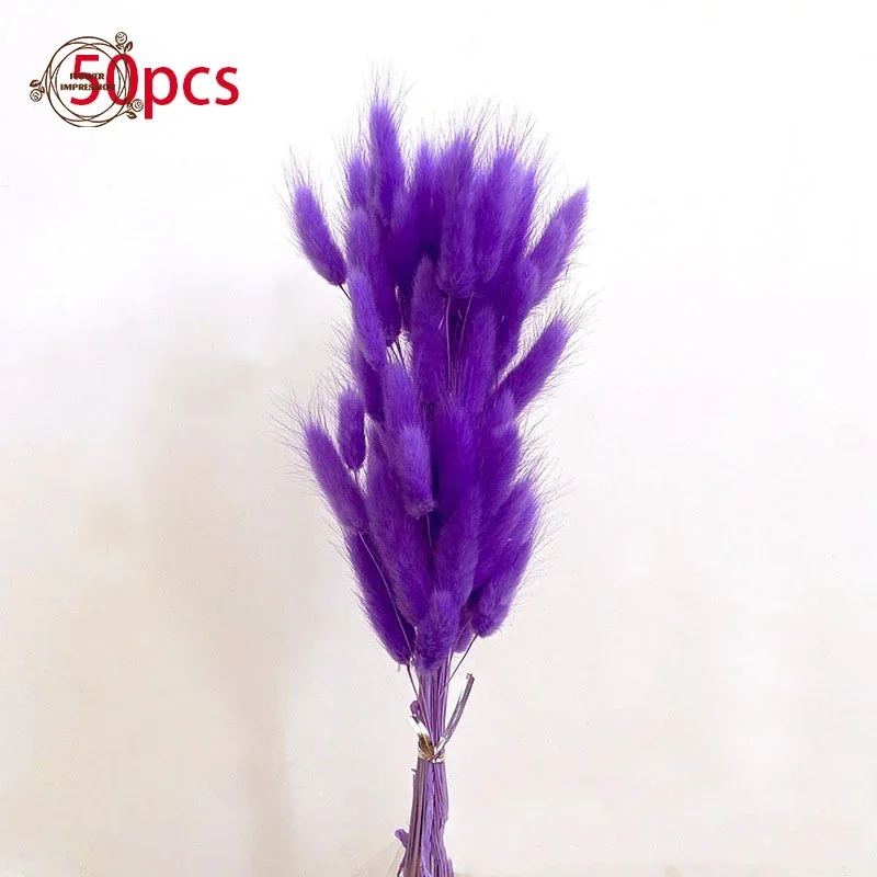 50PCS Rabbit Tail Dried Flowers Natural Bunny Tails Grass Bouquet Boho Home Decor Lagurus Ovatus Wedding Table Decor Accessories view 3