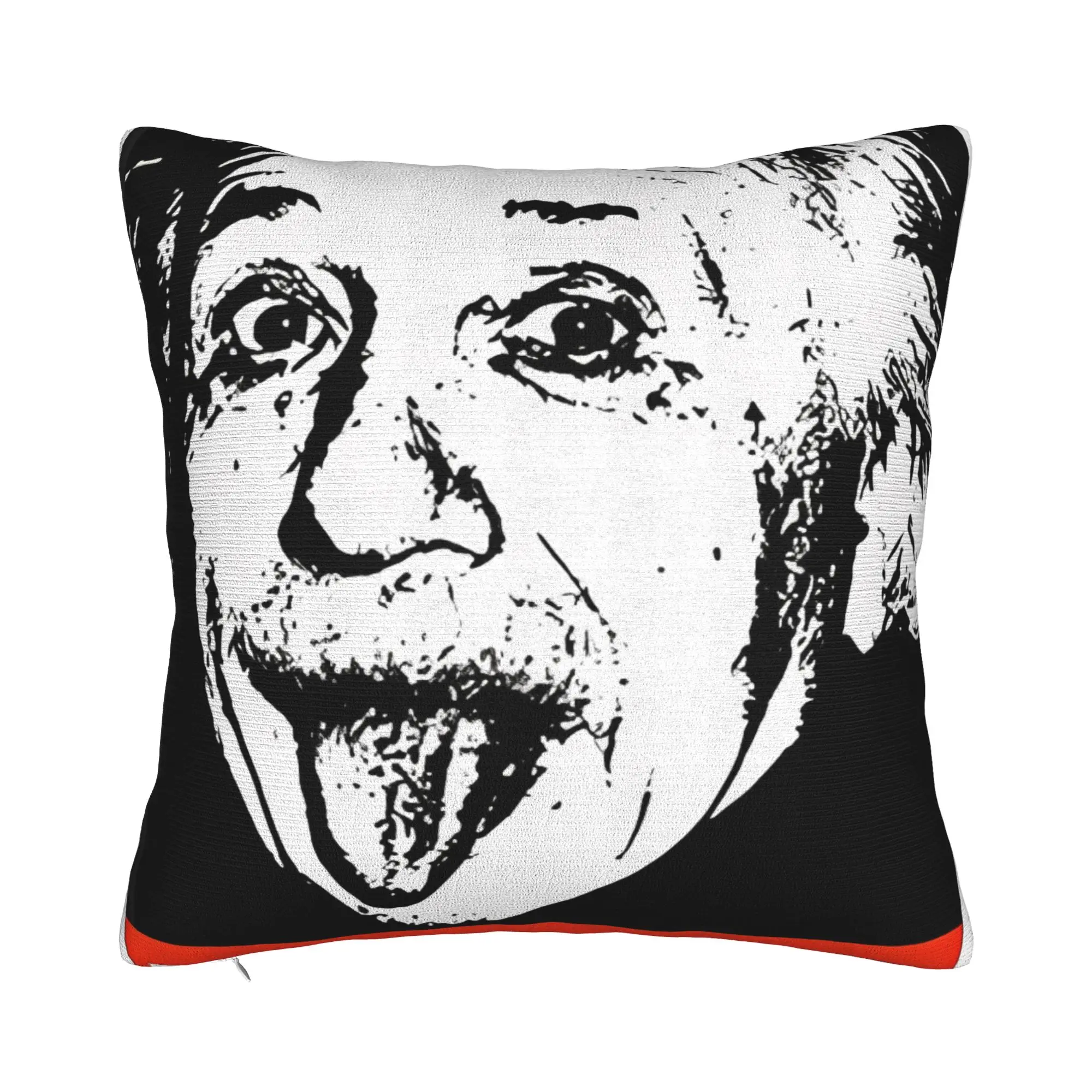 E = MC2 1 For Porch Patio Couch Sofa Living Room Outdoor Pillowcases E=MC2 Pillow Cover Zipper Closure