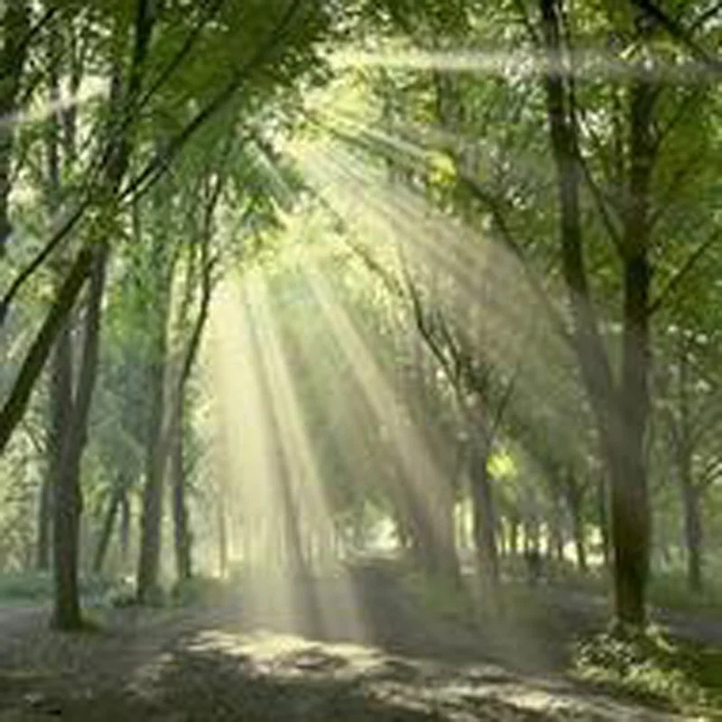 

Мягкая силиконовая ложка для малышей в форме звездочек, обучающая ложка для детей, безопасная силиконовая посуда для кормления, аксессуары для еды