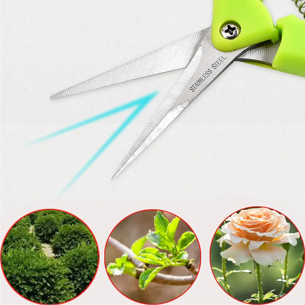 Sécateur de jardin en acier inoxydable, sécateur de branches en pot domestique, outils d\'élagage, coupe-main, raisin, cueillette de mauvaises herbes