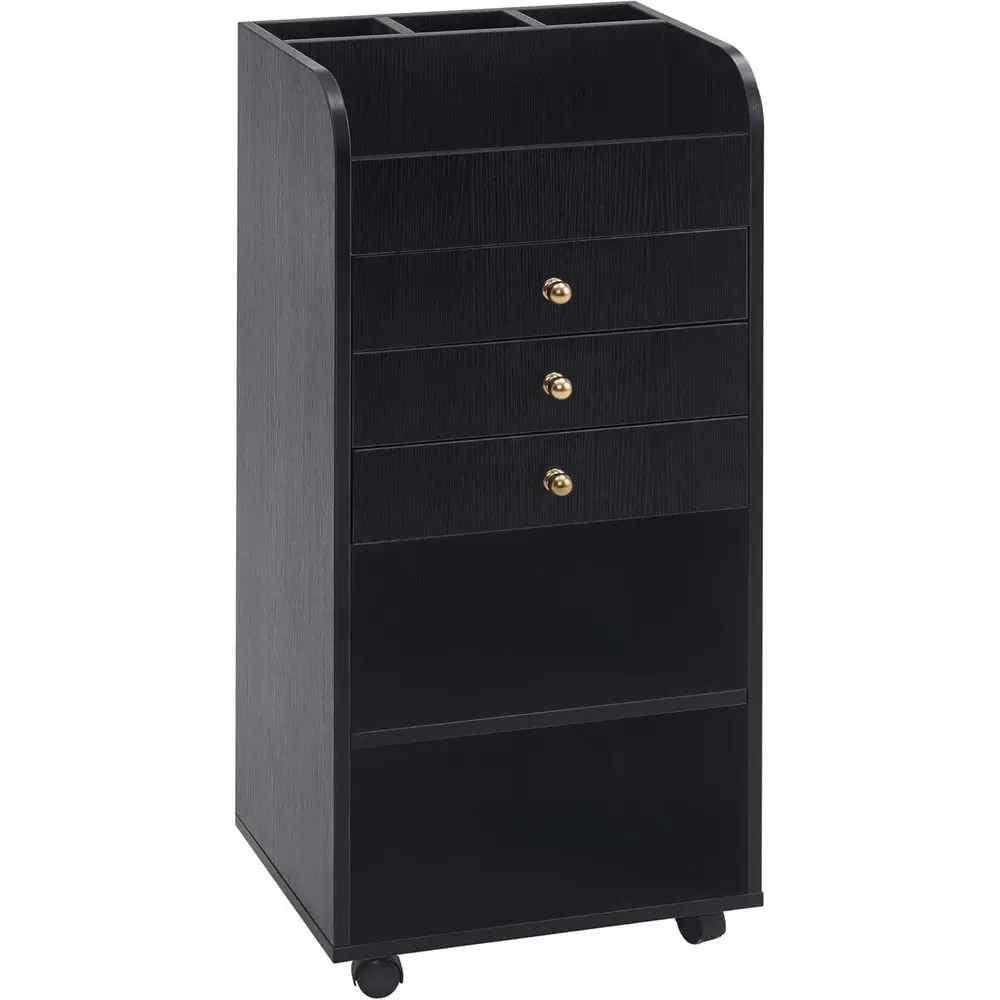 

Rolling Hair Stylist Trolley with Wheels for Barber and Spa Storage, 2034 (Black)