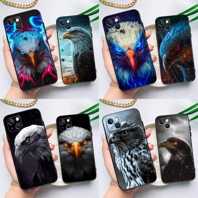 Eagle Hawk Bird Ani… - image