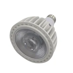 Dimmable 10W PAR20 15W PAR30 25W PAR38 COB Lamp Spotlight E27 LED Bulb Indoor Lighting AC110-240V Black/White Body