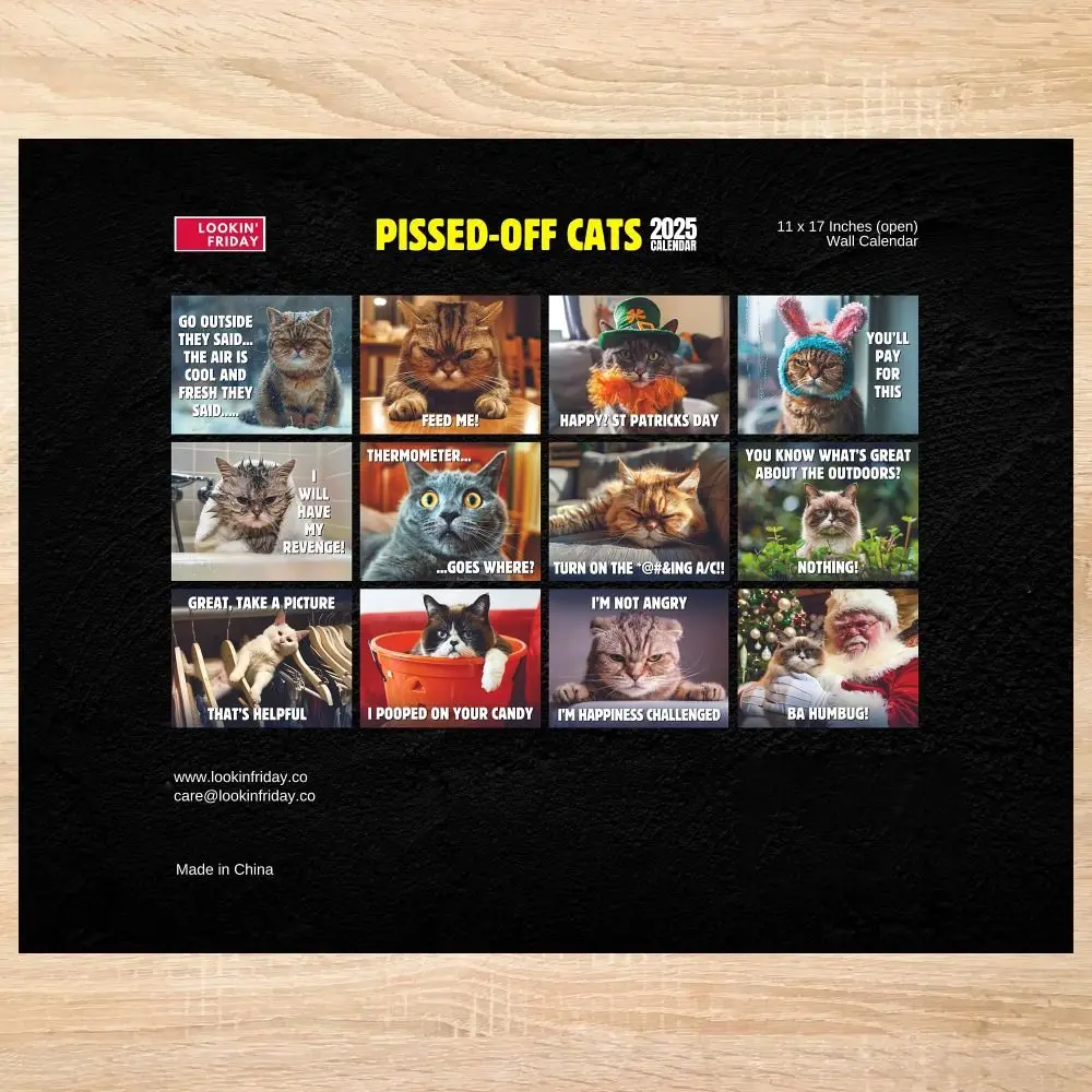 New Kawaii 2025 Pissed-Off Cats Calendar Cat Lovers Creative Can Be Celebrated Cute Wall Calendar Home