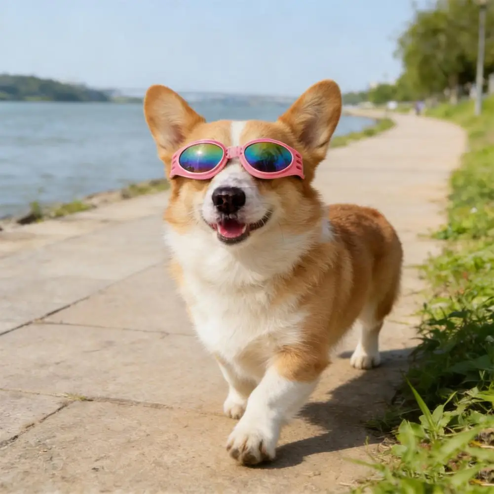 Dog Sunglasses Foldable Pet Sunglasses with Adjustable Strap Uv Protection Dog Glasses Windproof Goggles for Small Medium Dogs