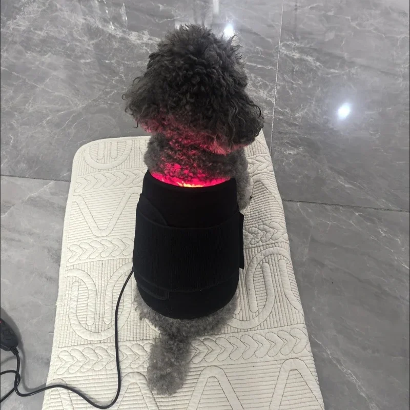 Veterinary use Red light LED therapy physiotherapy equipment for Pet dog pain relief pain reduce
