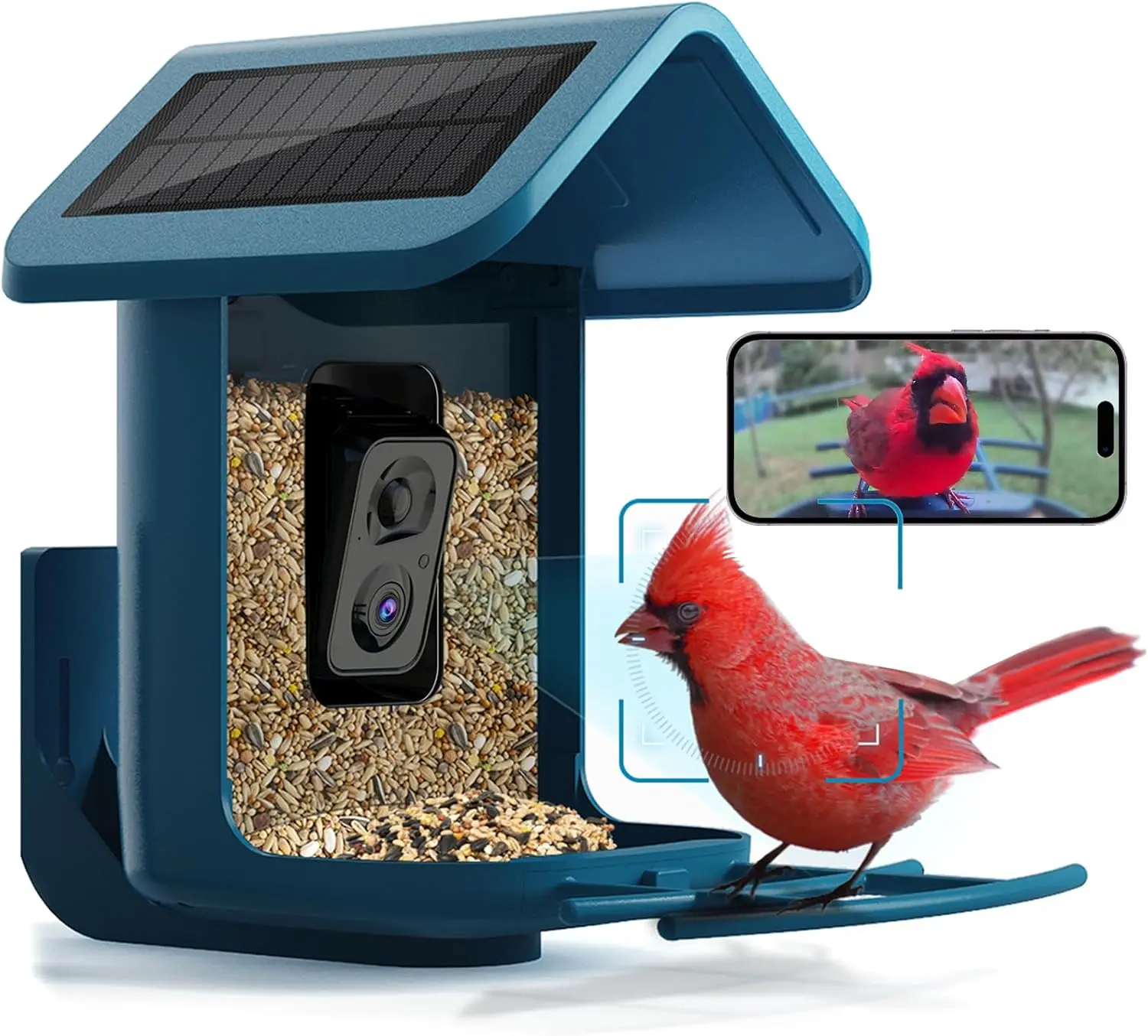 Solar Bird Feeder with 2K Camera: AI Recognition, Live Feed, Weatherproof Design for Outdoor Bird Watching