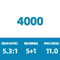 4000