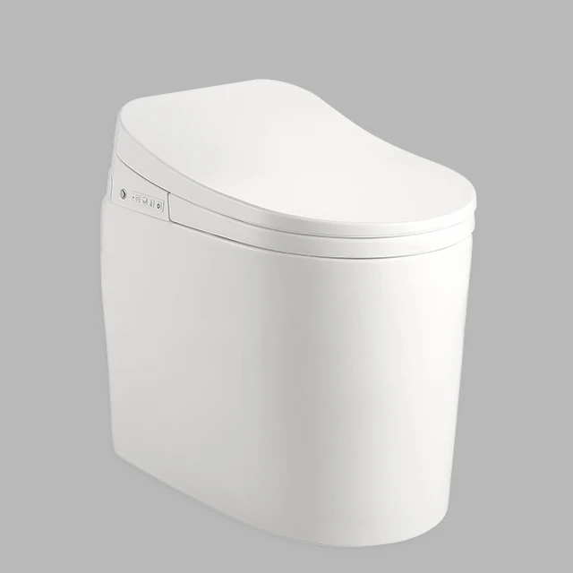 

OEM electric intelligent toilet with all kinds of wash, warm air dry