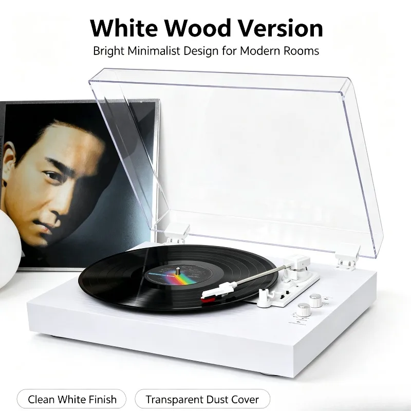 Vinyl Record Player Turntable Gramophone Built-in Dual Speakers Desktop Acrylic Dust Cover Bluetooth Connection