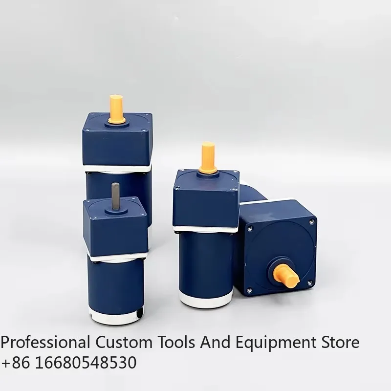 

DS60mm 12 Volt 24 Volt DC Brush Motor 6W 10W 15W 25W 30W 40W Alloy Carbon Brush for Packaging and Vending Machines