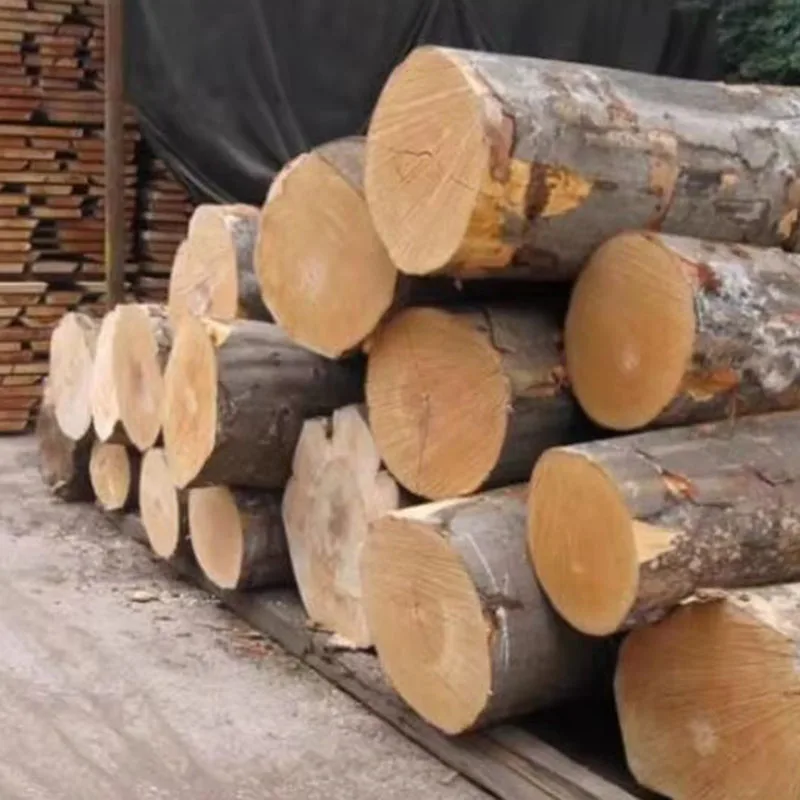 Makeup Support Wood Sofas Golden High Patio Back Design Recliner Salon Lounges Sofas Floor Nordic Lounge Divano Trendy Furniture