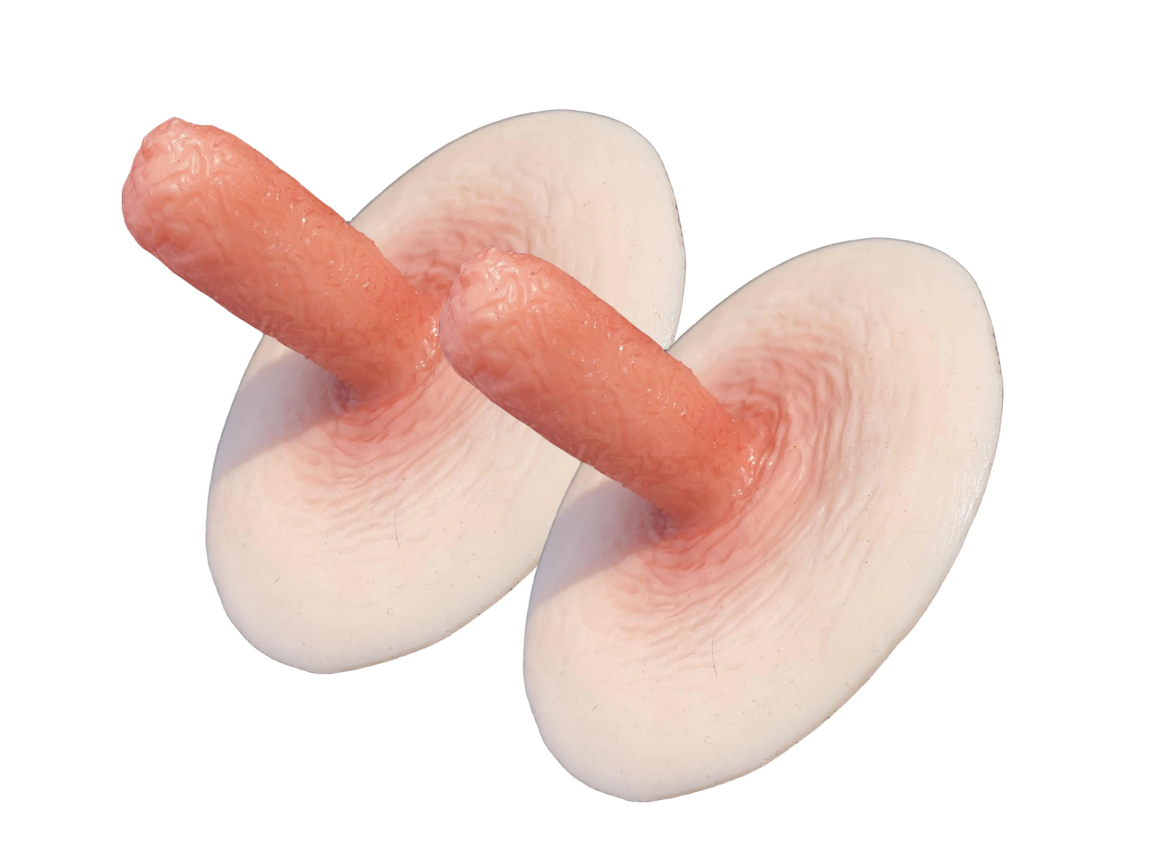 大きい乳首の硅膠製アクセサリーは本当に使えるのか？実際の使用体験と評判を徹底解説